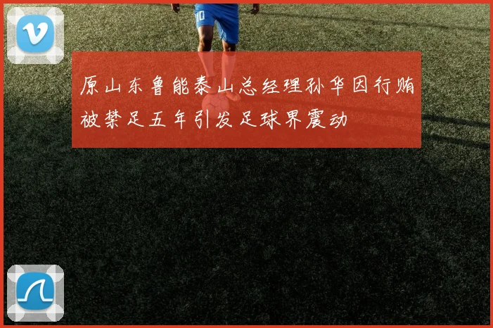 原山东鲁能泰山总经理孙华因行贿被禁足五年引发足球界震动
