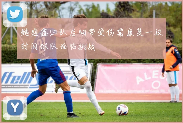 鲍盛鑫归队后韧带受伤需康复一段时间球队面临挑战